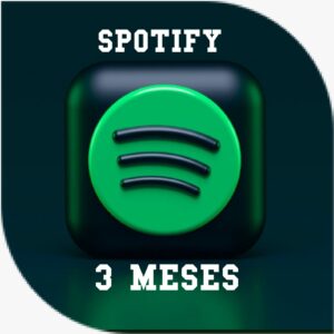 Perfil Spotify X 90 Días