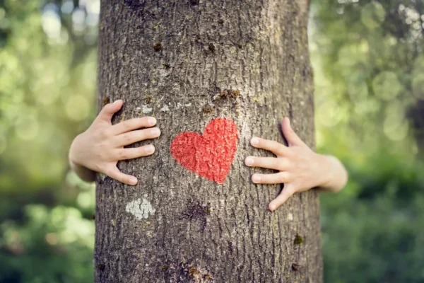Plantar Árbol - Imagen 4